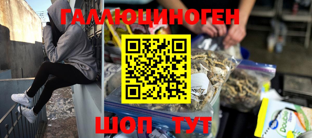 Псилоцибиновые грибы прущие грибы Волоколамск